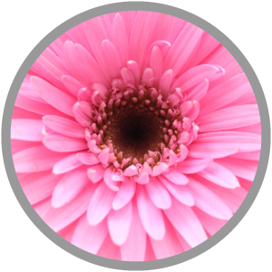 名古屋・岐阜デザイン制作