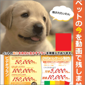 ペット関連広告